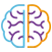 Cerebro